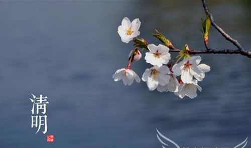 參觀110㎡現(xiàn)代簡(jiǎn)約新房，全屋不做造型，最愛餐廳的卡座設(shè)計(jì)  現(xiàn)代簡(jiǎn)約實(shí)景房圖片